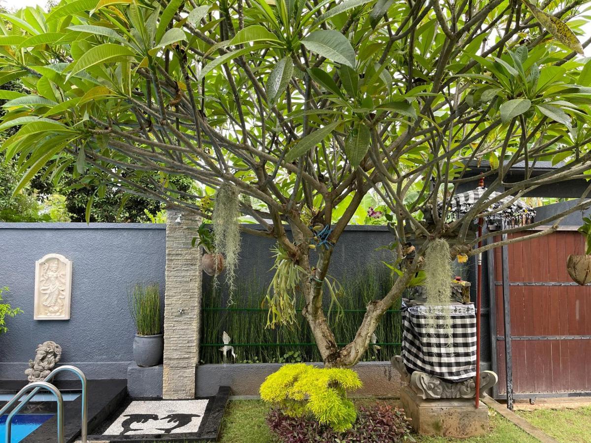 Hotel Mias Jungle House Lovina Exterior foto