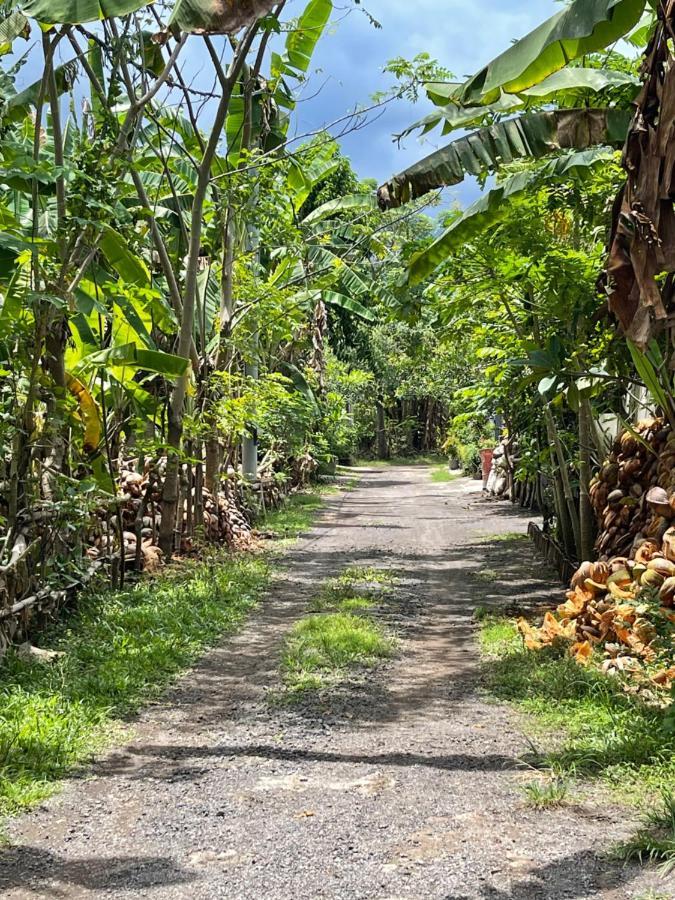 Hotel Mias Jungle House Lovina Exterior foto